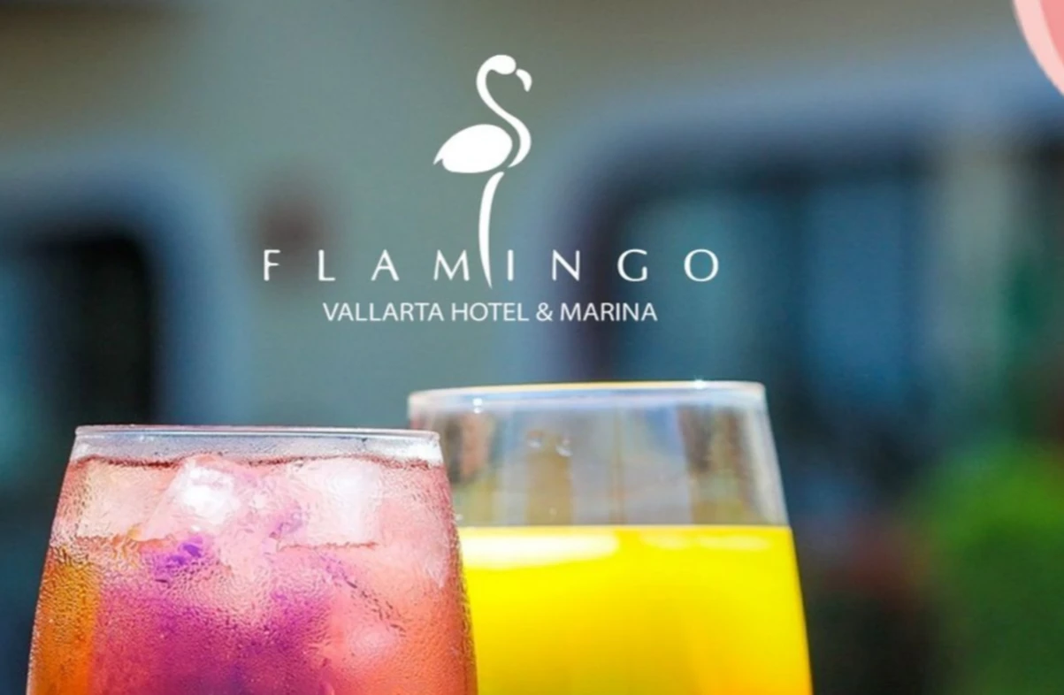 Puerto Vallarta Flamingo